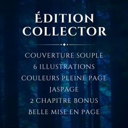 Tome 1 - Le garçon au chaperon rouge, Isabelle Lesteplume