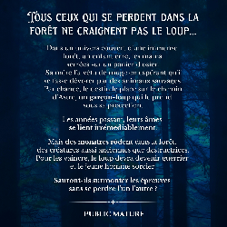 Tome 1 - Le garçon au chaperon rouge, Isabelle Lesteplume