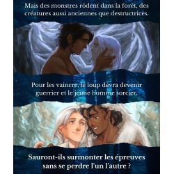 Tome 1 - Le garçon au chaperon rouge, Isabelle Lesteplume