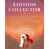 Pack Sorcier Rouge - Isabelle Lesteplume